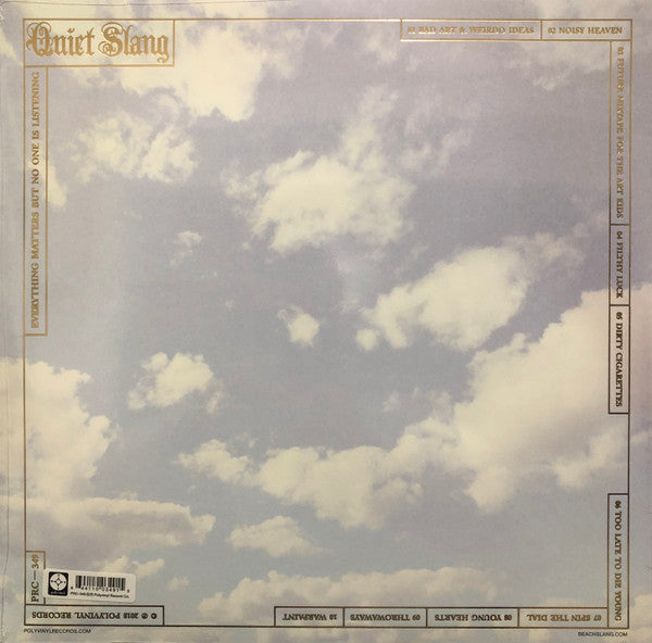 Quiet Slang : Everything Matters But No One Is Listening (LP, Album, Cle)