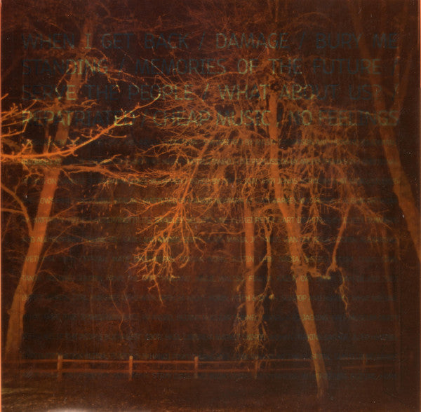 Handsome Furs : Sound Kapital (LP, Album, Ltd, Ora)