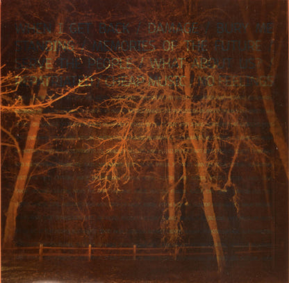 Handsome Furs : Sound Kapital (LP, Album, Ltd, Ora)
