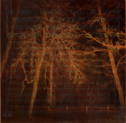 Handsome Furs : Sound Kapital (LP, Album, Ltd, Ora)