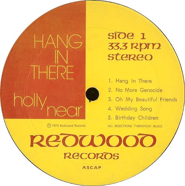 Holly Near : Hang In There (LP, Album)