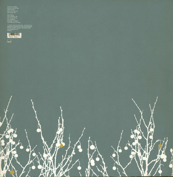 The Shins : Oh, Inverted World (LP, Album)