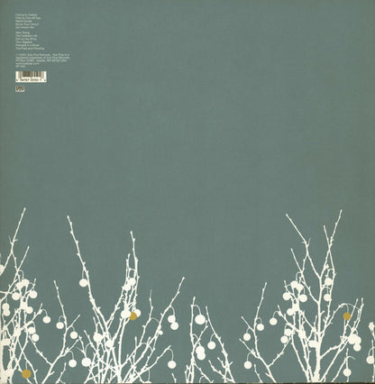 The Shins : Oh, Inverted World (LP, Album)