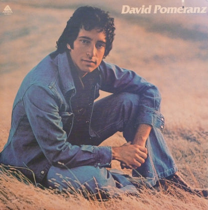 David Pomeranz : It's In Everyone Of Us (LP, Album, Promo, Gat)