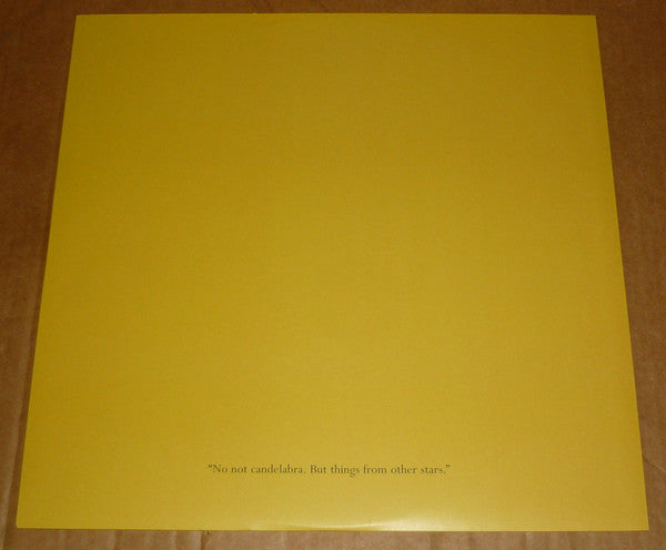 British Sea Power : The Decline Of British Sea Power (LP, Album)