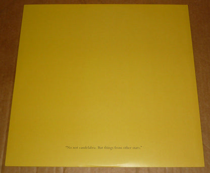 British Sea Power : The Decline Of British Sea Power (LP, Album)