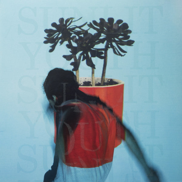 Local Natives : Sunlit Youth (LP, Album, Ltd, Cle)