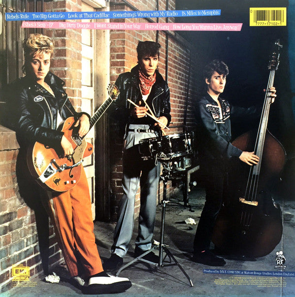 Stray Cats : Rant N' Rave With The Stray Cats (LP, Album, Win)