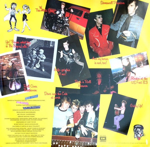 Stray Cats : Rant N' Rave With The Stray Cats (LP, Album, Win)